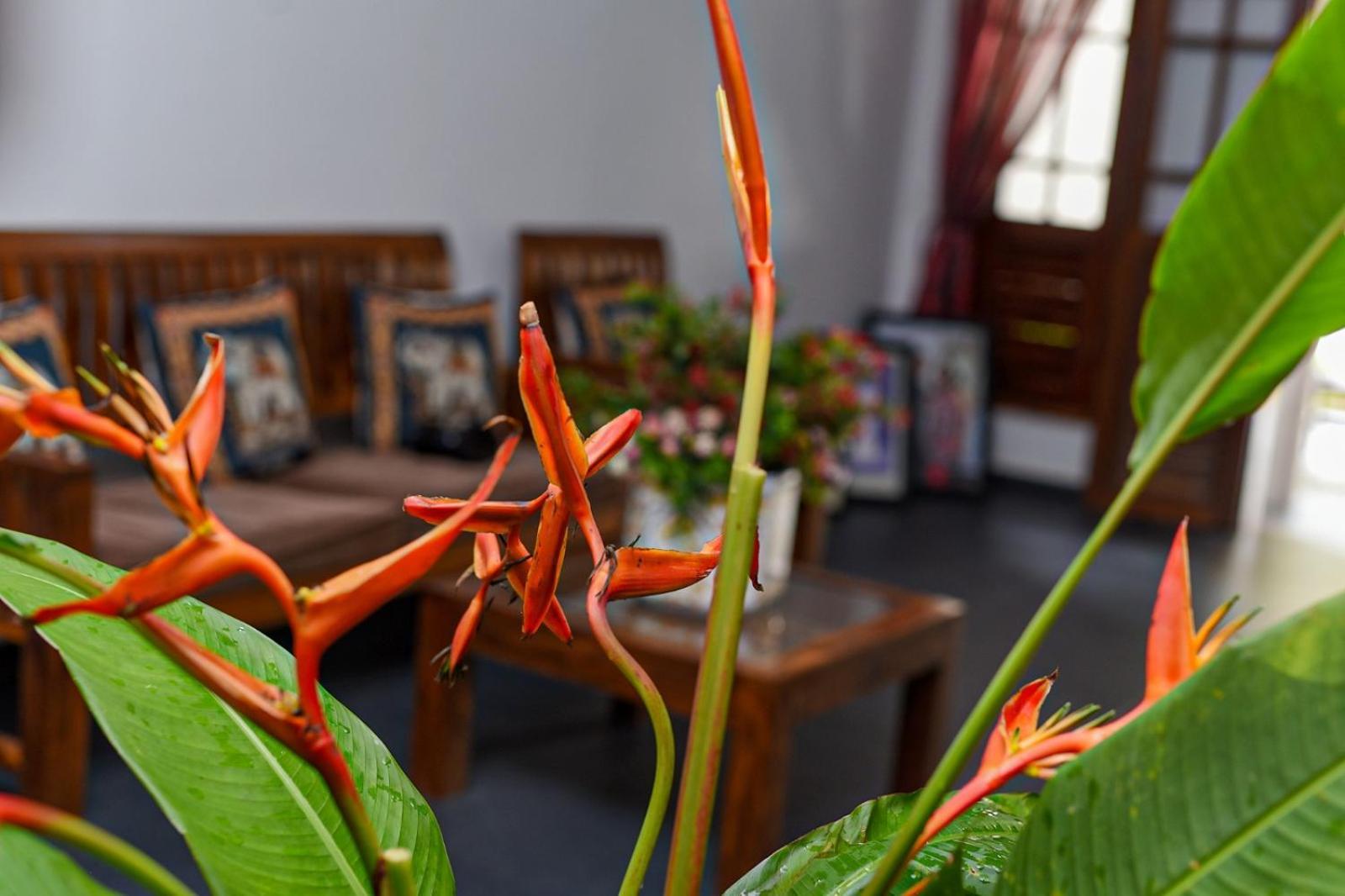 4Ty Two Homestay Ґалле Екстер'єр фото